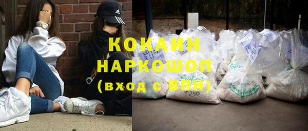 мдпв Няндома