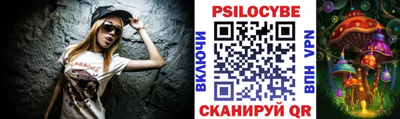 Псилоцибиновые грибы Psilocybe Ступино