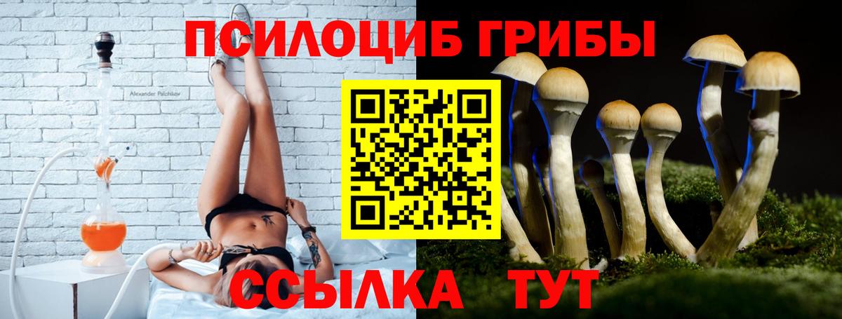 сколько стоит  Псилоцибиновые грибы ЛСД  Вход с VPN  Ступино  Псилоцибиновые грибы Magic Shrooms 